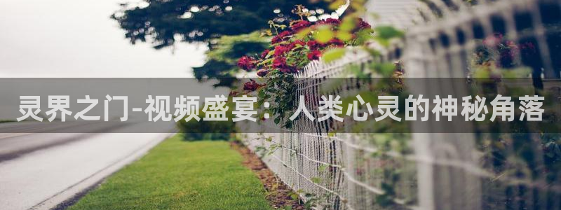 镇江大地影院影讯